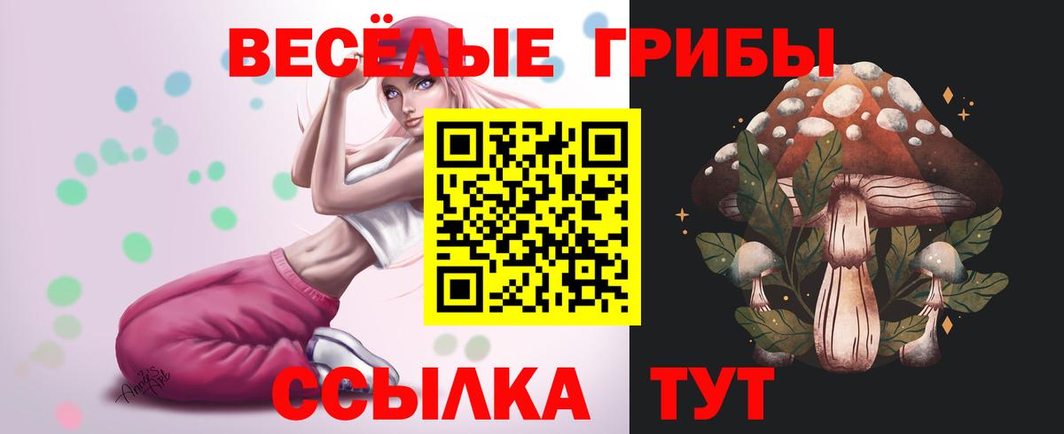 Златоуст  Галлюциногенные грибы ЛСД  Псилоцибиновые грибы Cubensis  где продают наркотики  Вход с VPN 